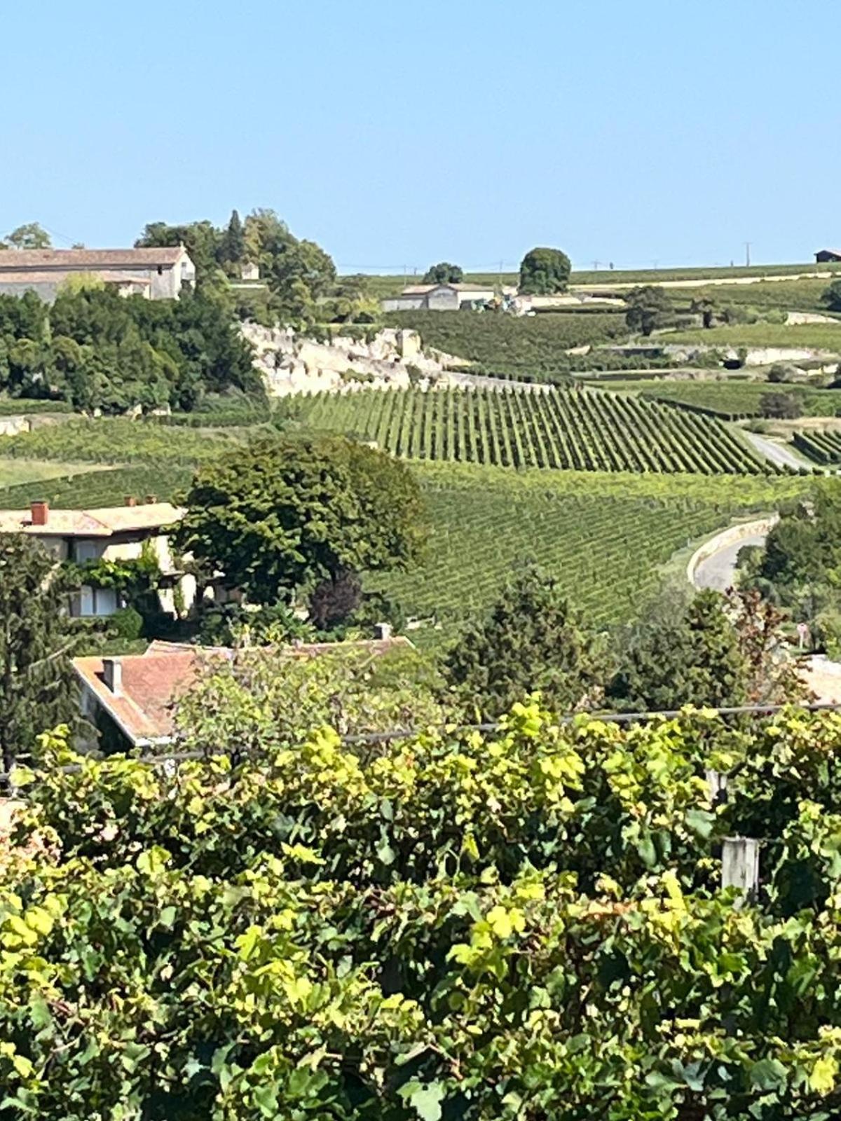 Les Logis Des Vignobles Saint Emilion En Duplex N 2 Avec Terrasse Apartment Ngoại thất bức ảnh
